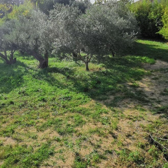  Annonces SOMMIERES : Terrain | AIGUES-VIVES (30670) | 0 m2 | 259 000 € 