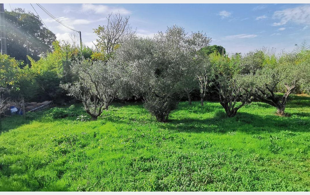 Annonces SOMMIERES : Terrain | AIGUES-VIVES (30670) | 0 m2 | 259 000 € 