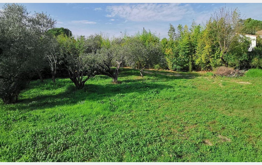 Annonces SOMMIERES : Terrain | AIGUES-VIVES (30670) | 0 m2 | 259 000 € 