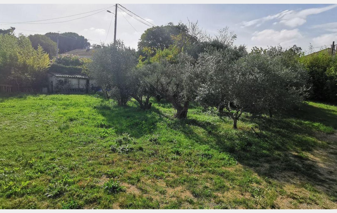 Annonces SOMMIERES : Terrain | AIGUES-VIVES (30670) | 0 m2 | 259 000 € 