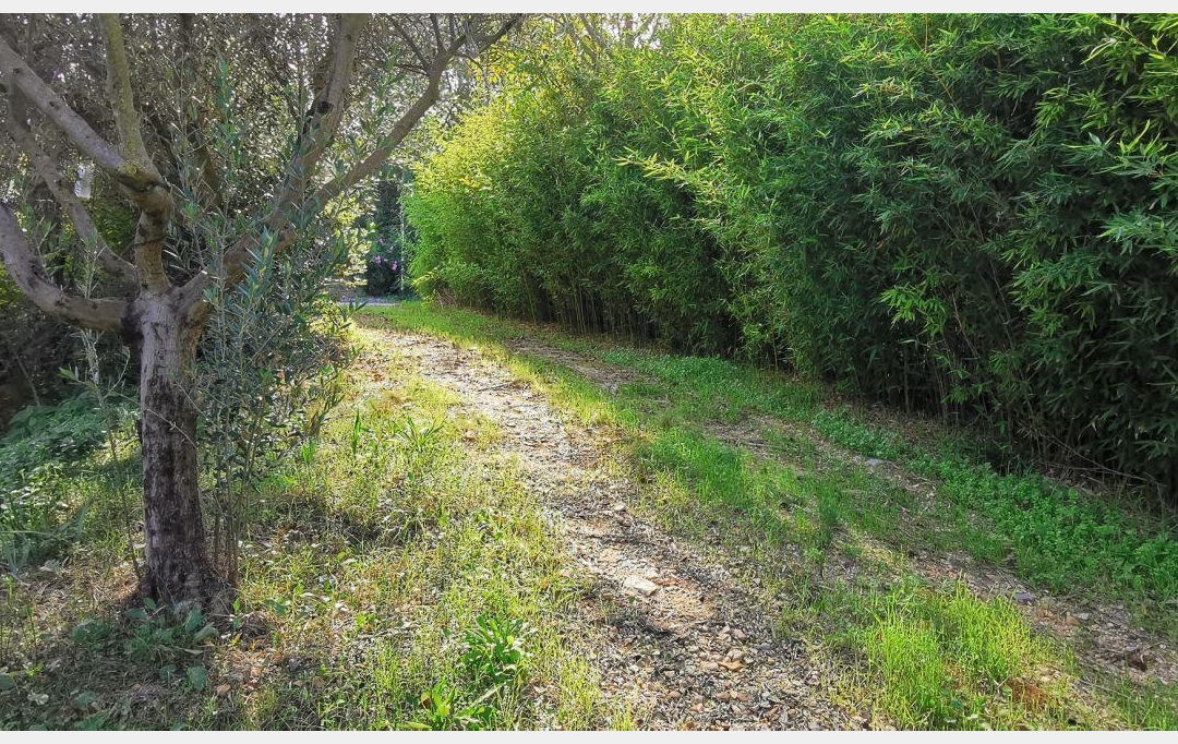 Annonces SOMMIERES : Terrain | AIGUES-VIVES (30670) | 0 m2 | 259 000 € 